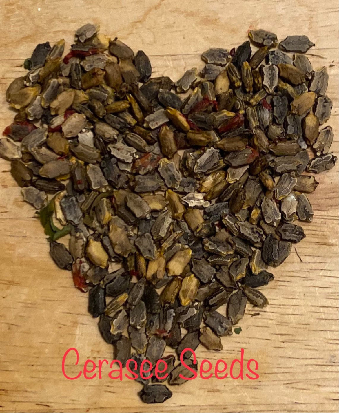 Cerasee Vines and Seeds