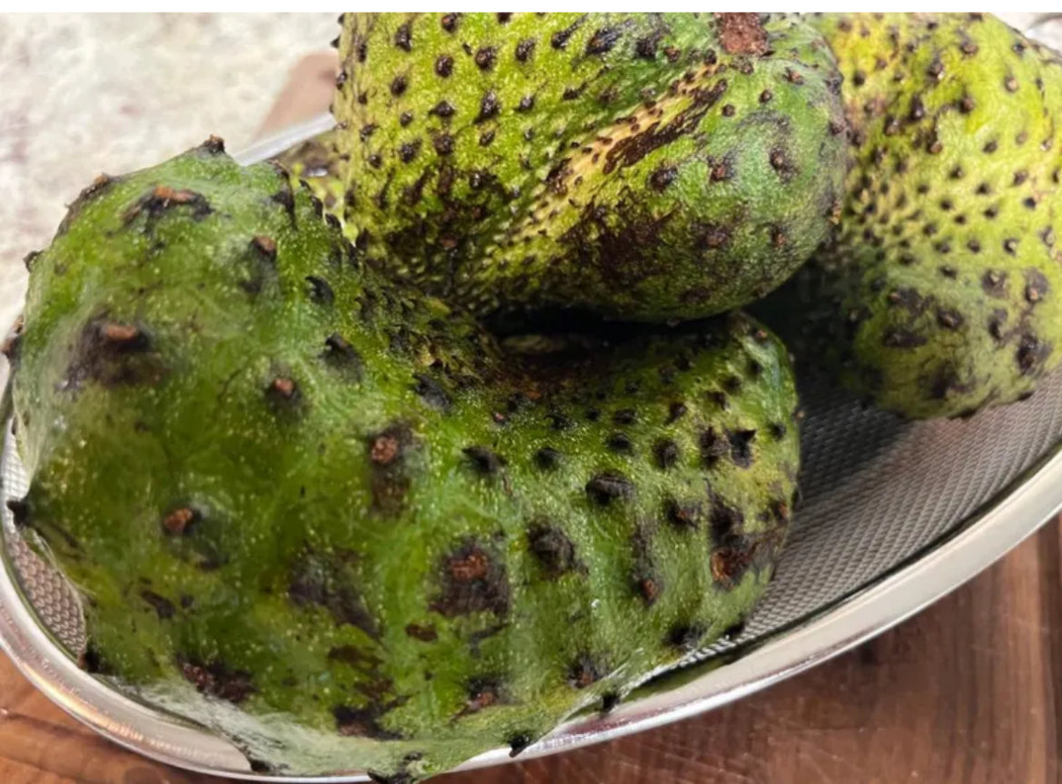 Soursop and Sweetsop Trees and Seeds