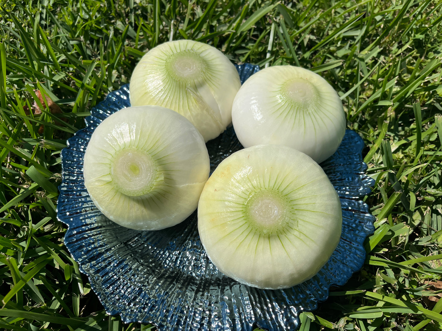 1 Cup Ground Strawberry Onions