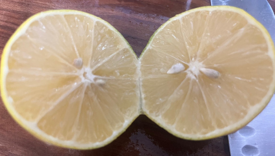Meyers Lemons
