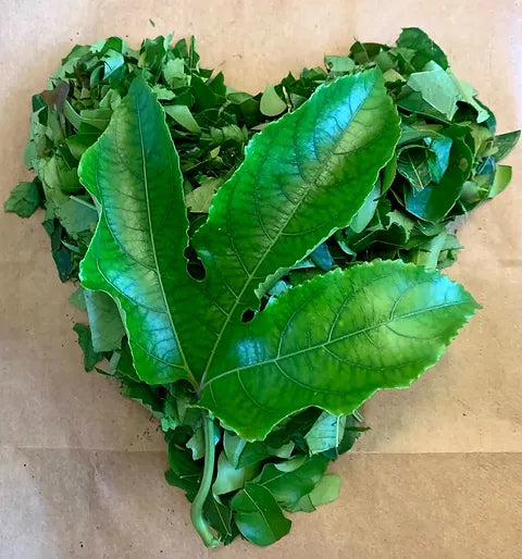 Passion Fruit Medley Loose Leaf Tea