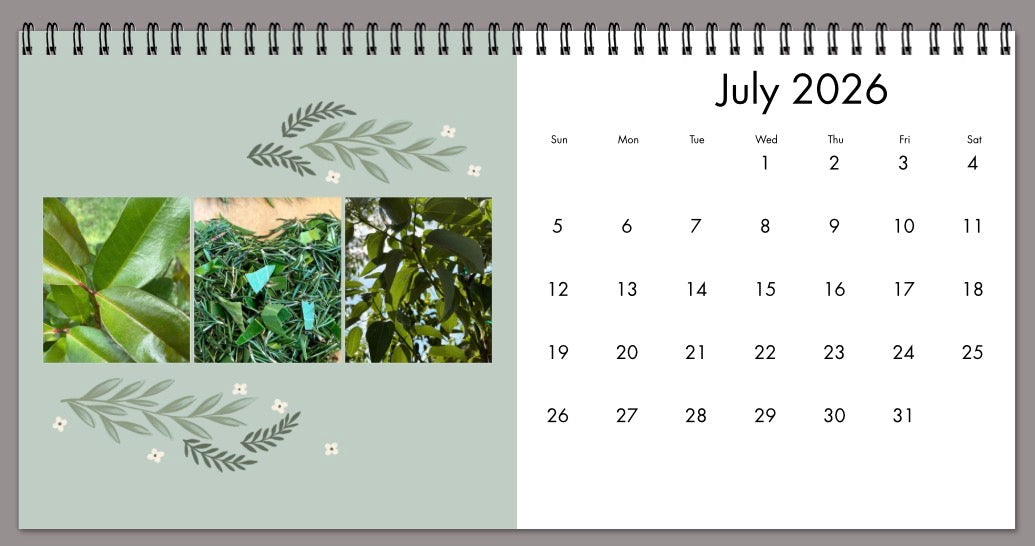 BG 2026 Desk & Wall Calendar