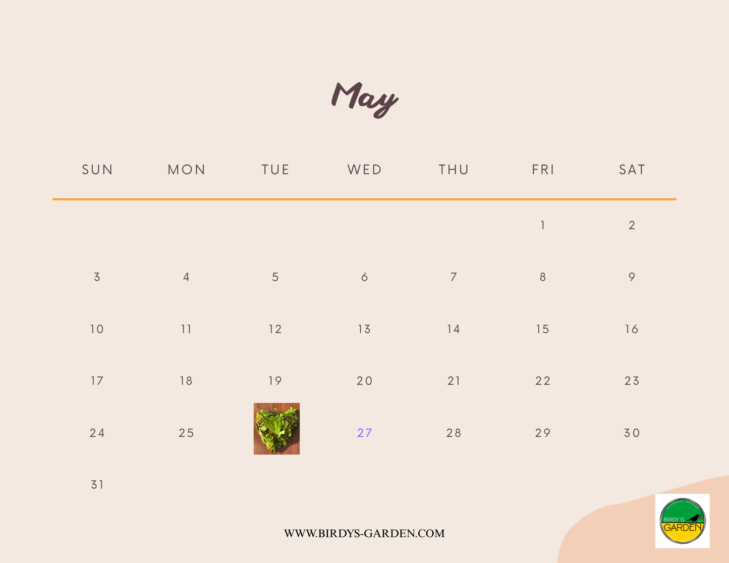 BG 2026 Desk & Wall Calendar