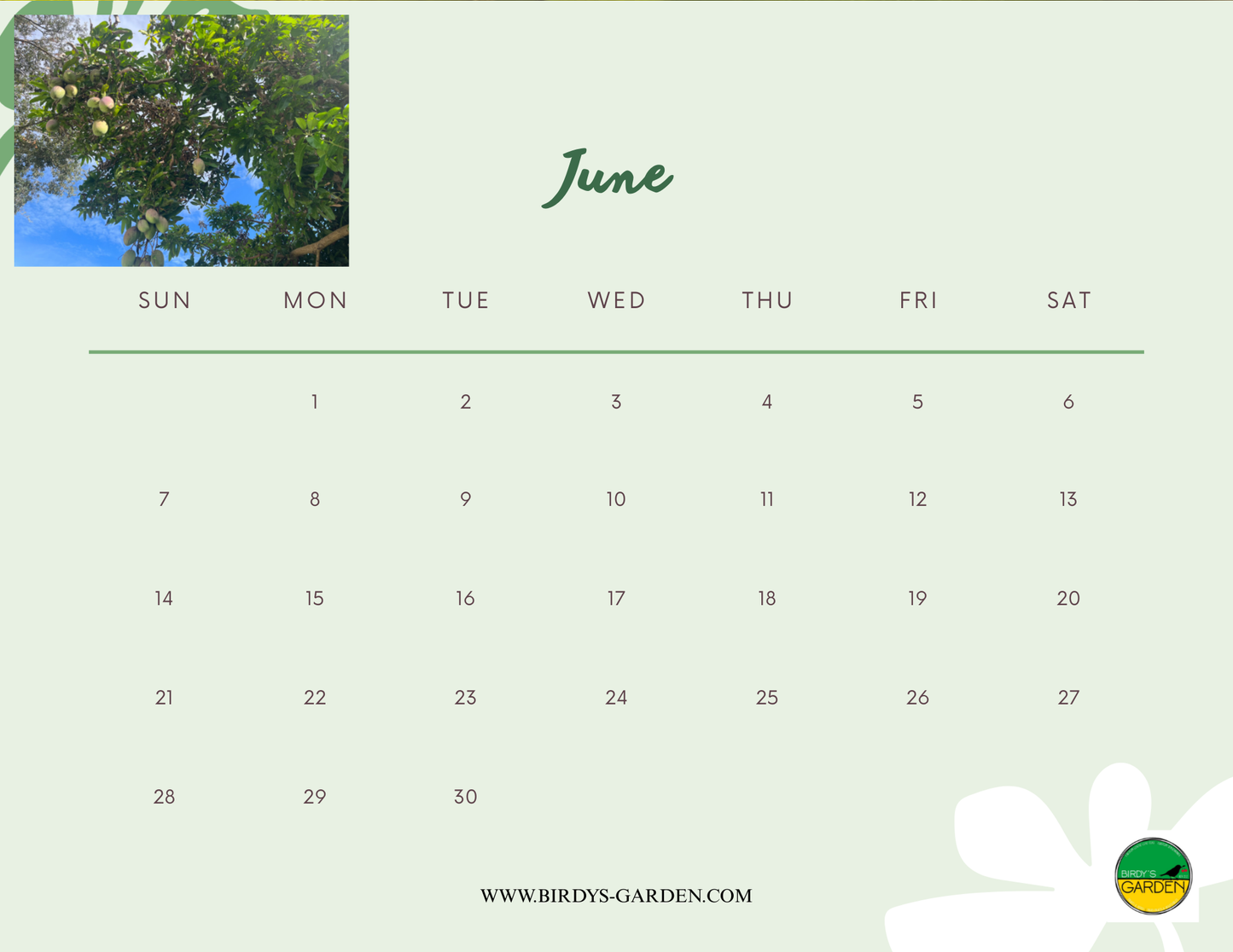 BG 2026 Desk & Wall Calendar
