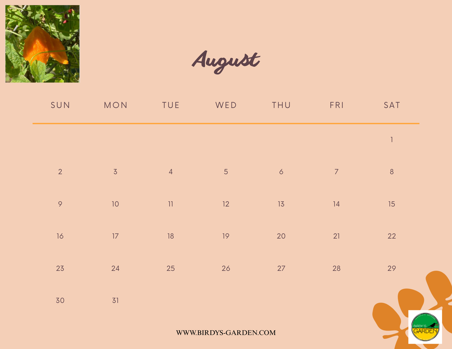 BG 2026 Desk & Wall Calendar