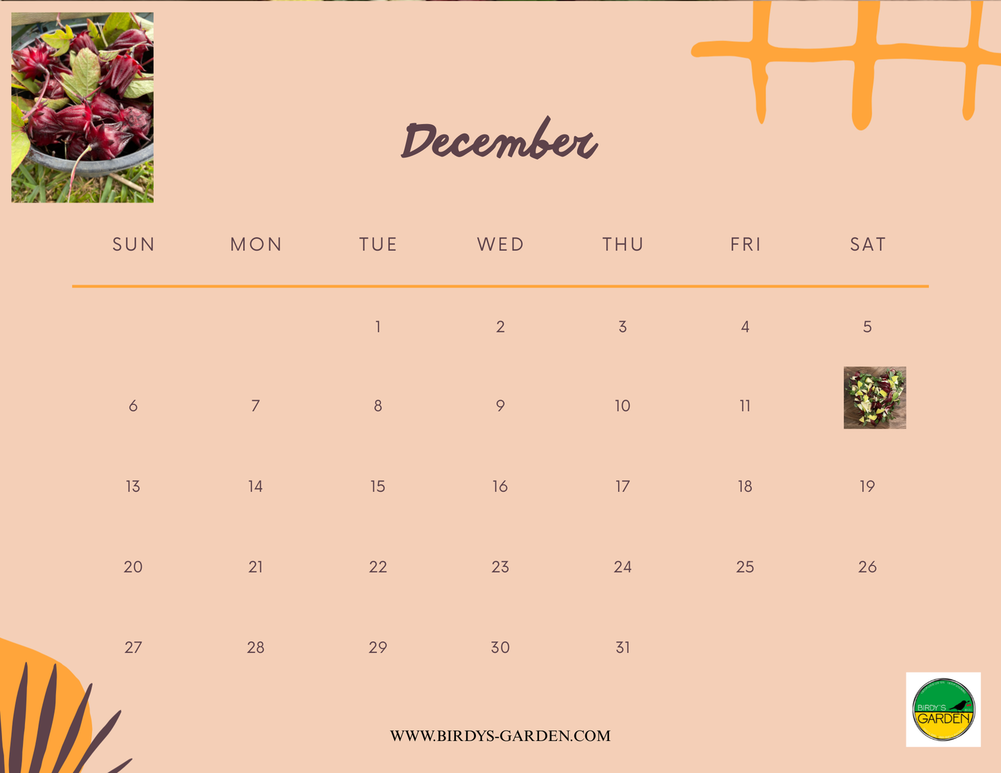 BG 2026 Desk & Wall Calendar