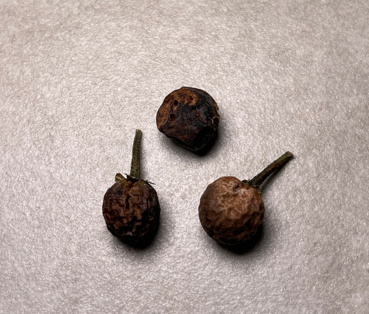 Susumba Plants and Seeds