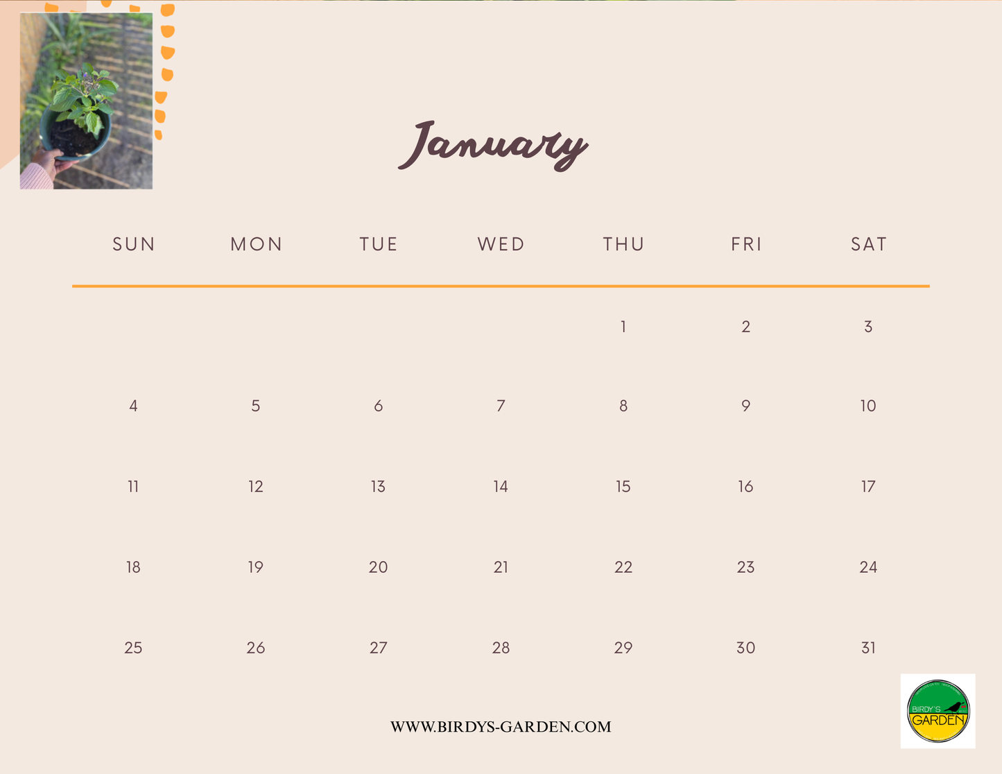 BG 2026 Desk & Wall Calendar
