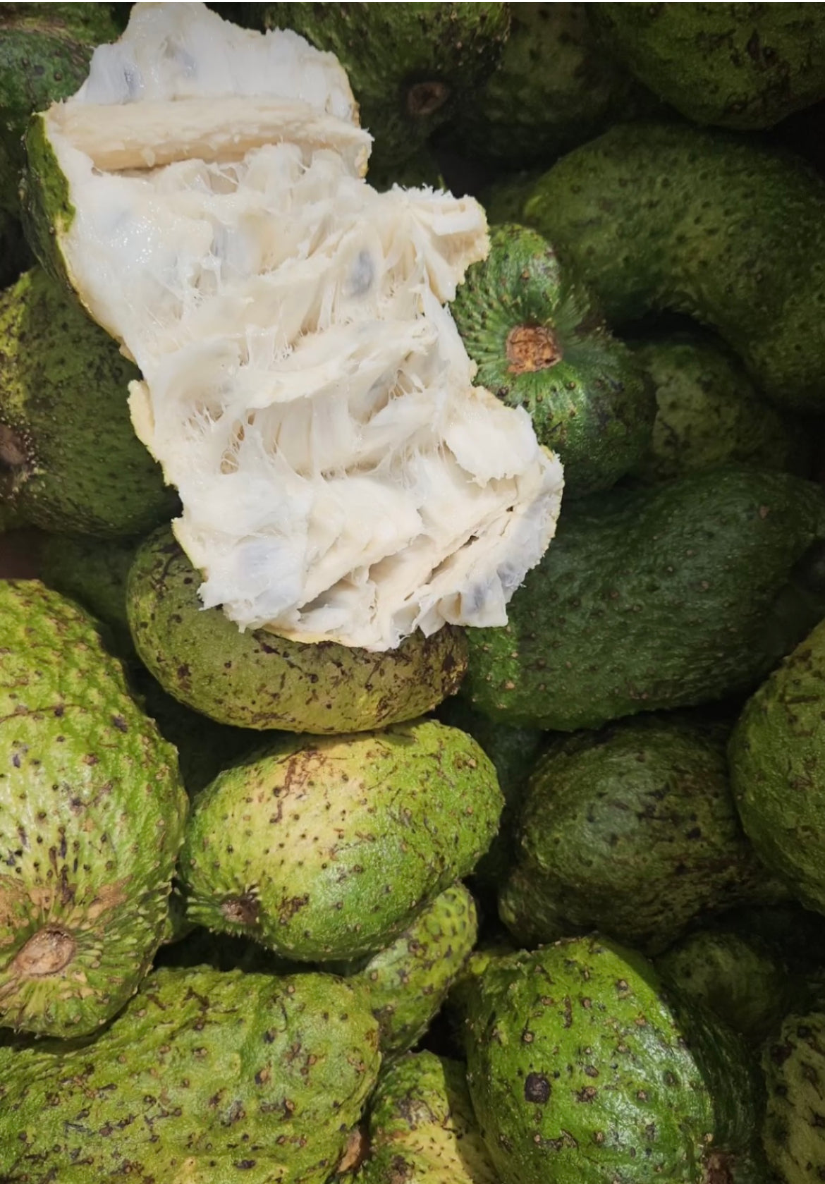Soursop (Whole Fruit)