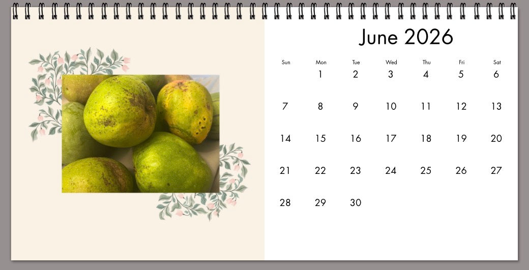 BG 2026 Desk & Wall Calendar
