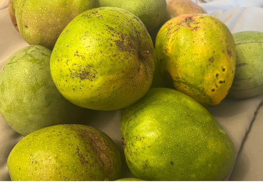 Mangoes (Whole Fruit)