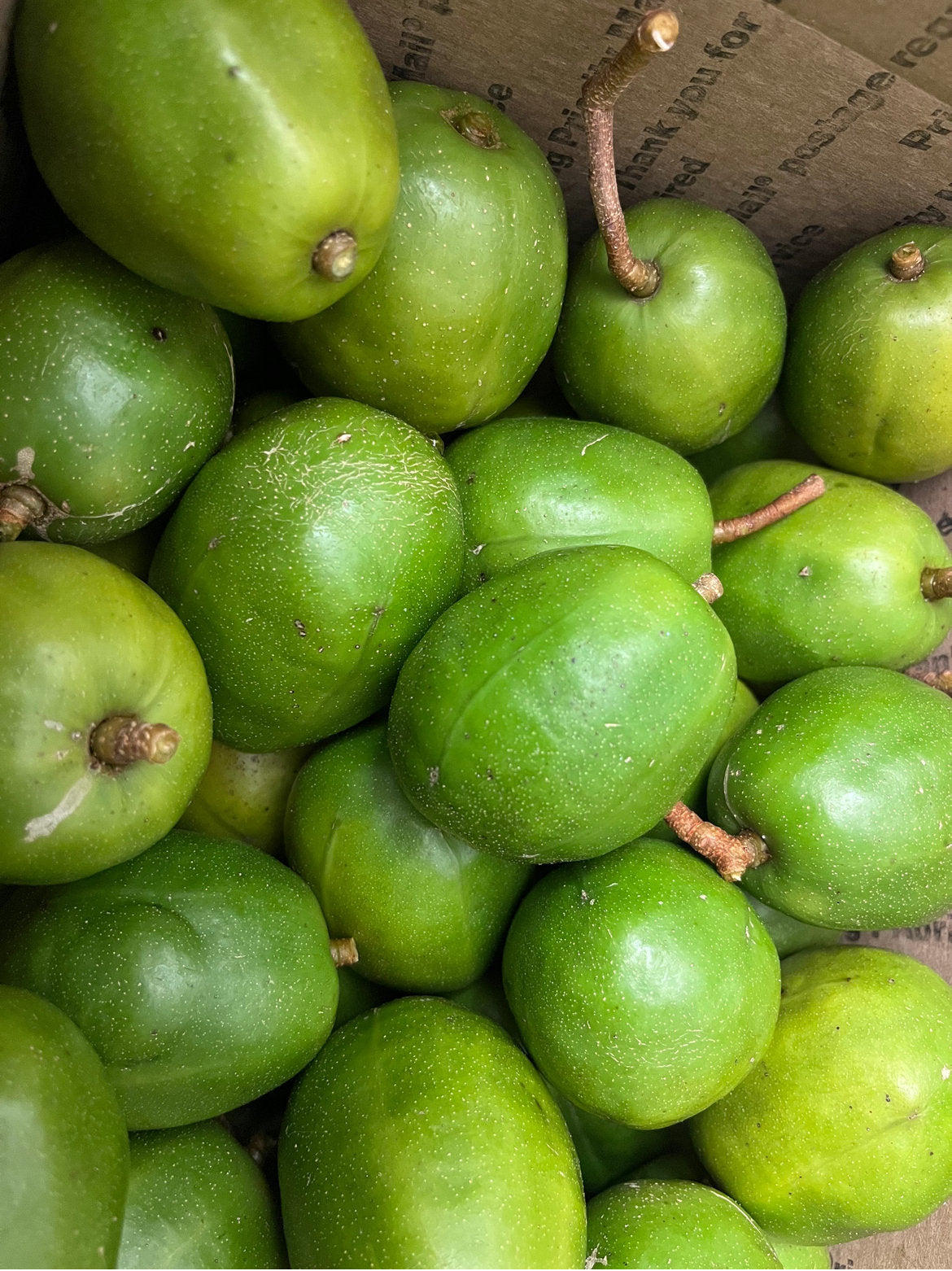 June Plum aka Golden Apple (Ambarella Fruit)