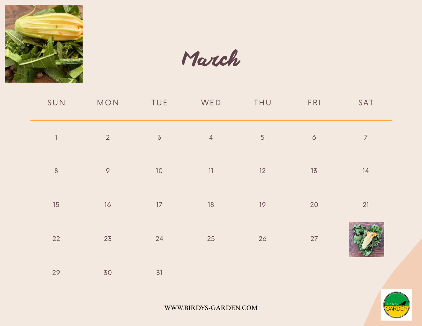 BG 2026 Desk & Wall Calendar