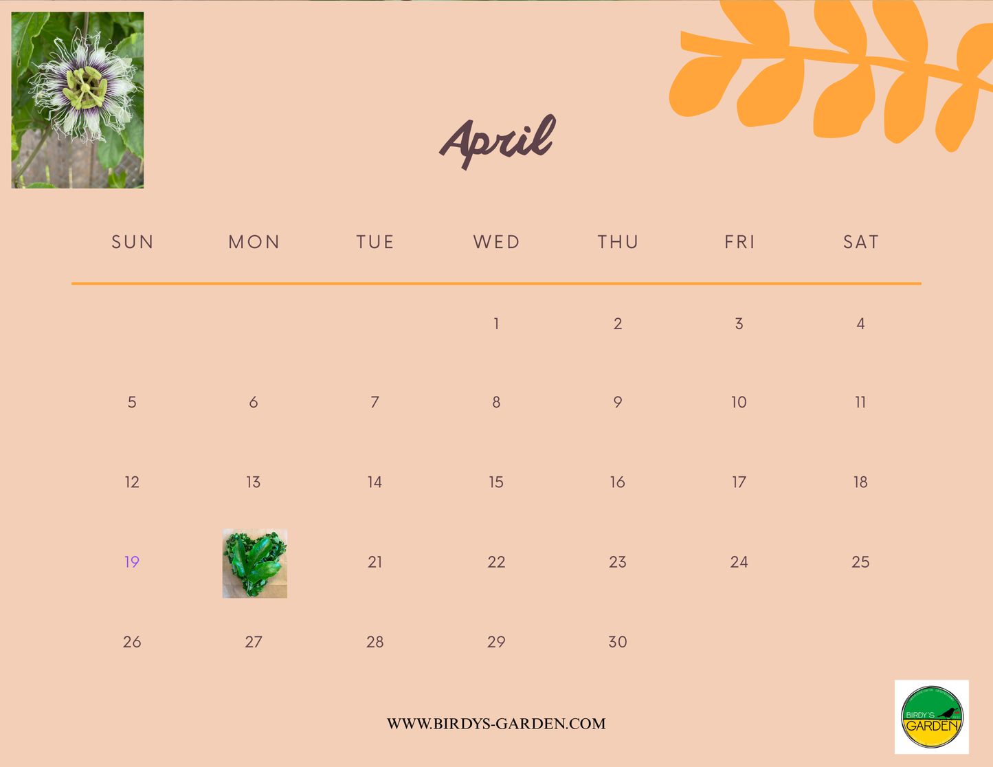 BG 2026 Desk & Wall Calendar