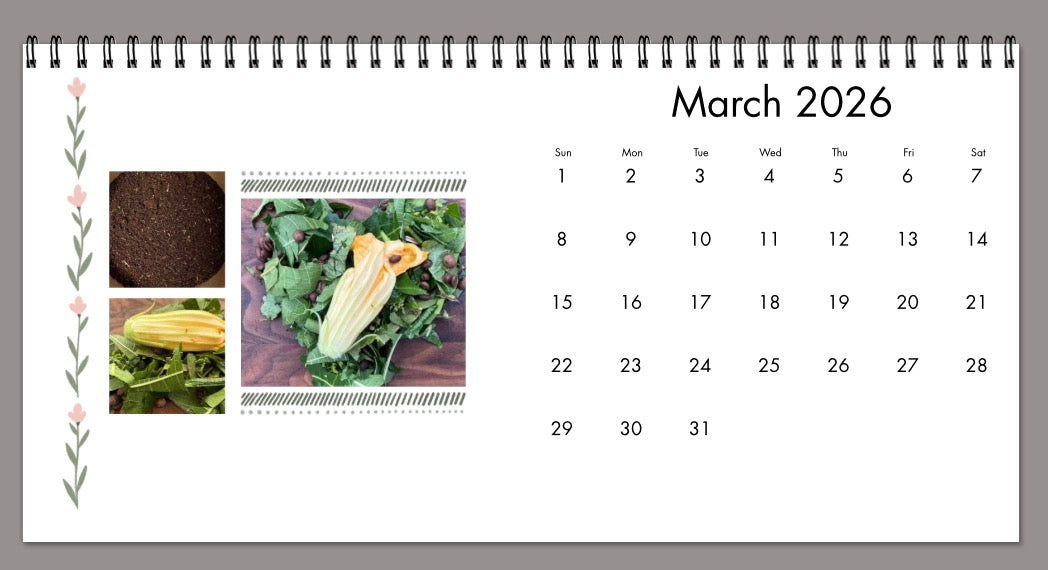 BG 2026 Desk & Wall Calendar