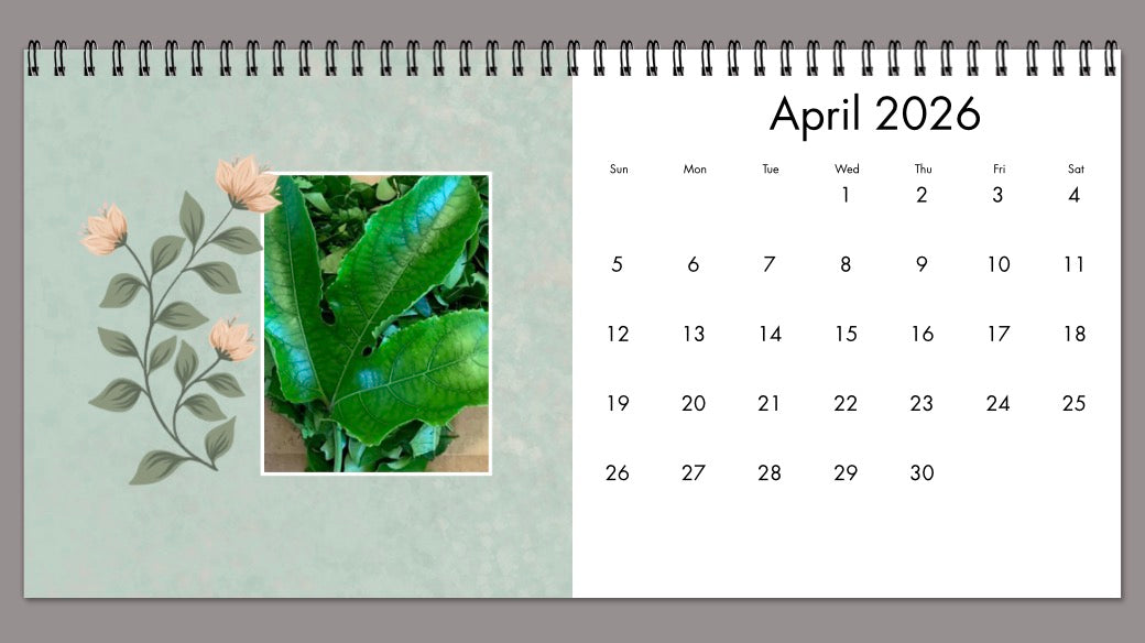 BG 2026 Desk & Wall Calendar