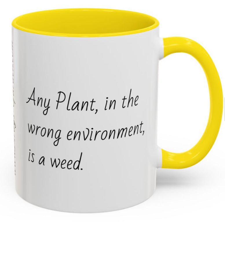 BG Mugs