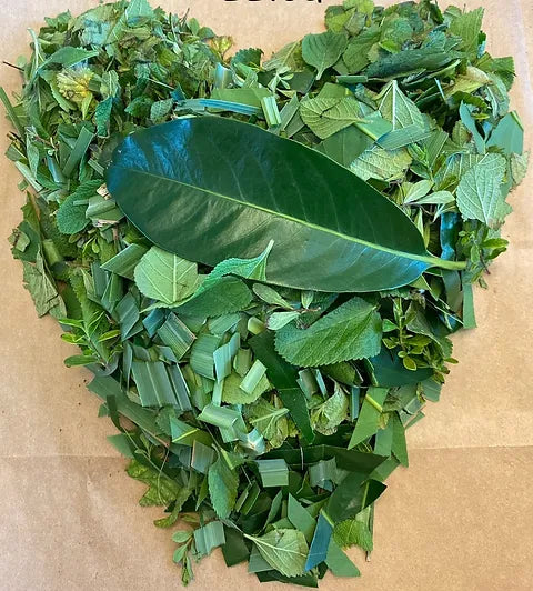 Sapote/Soursop Mint Medley Loose Leaf Tea