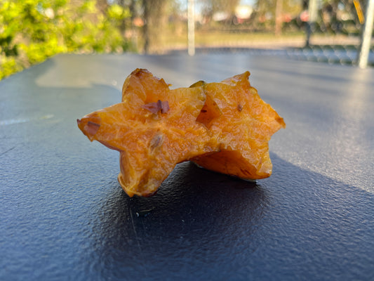 Dried/Ground Star Fruit